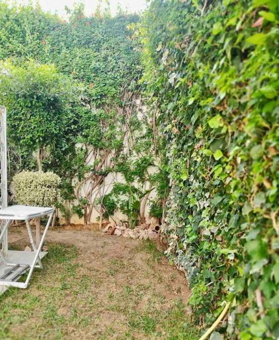 Etage De Villa Avec Jardin, Pres De L'Aireport Et Parking Prive อาริอานา ภายนอก รูปภาพ