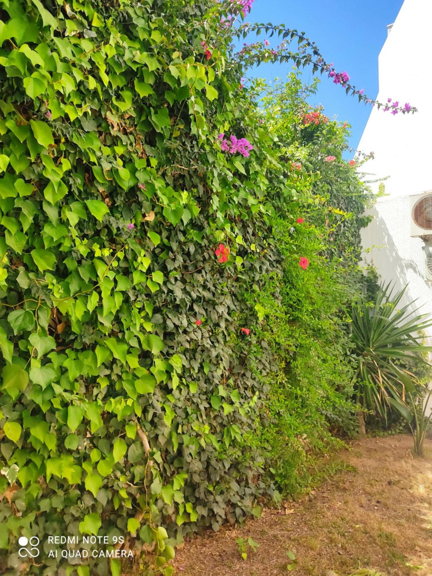Etage De Villa Avec Jardin, Pres De L'Aireport Et Parking Prive อาริอานา ภายนอก รูปภาพ
