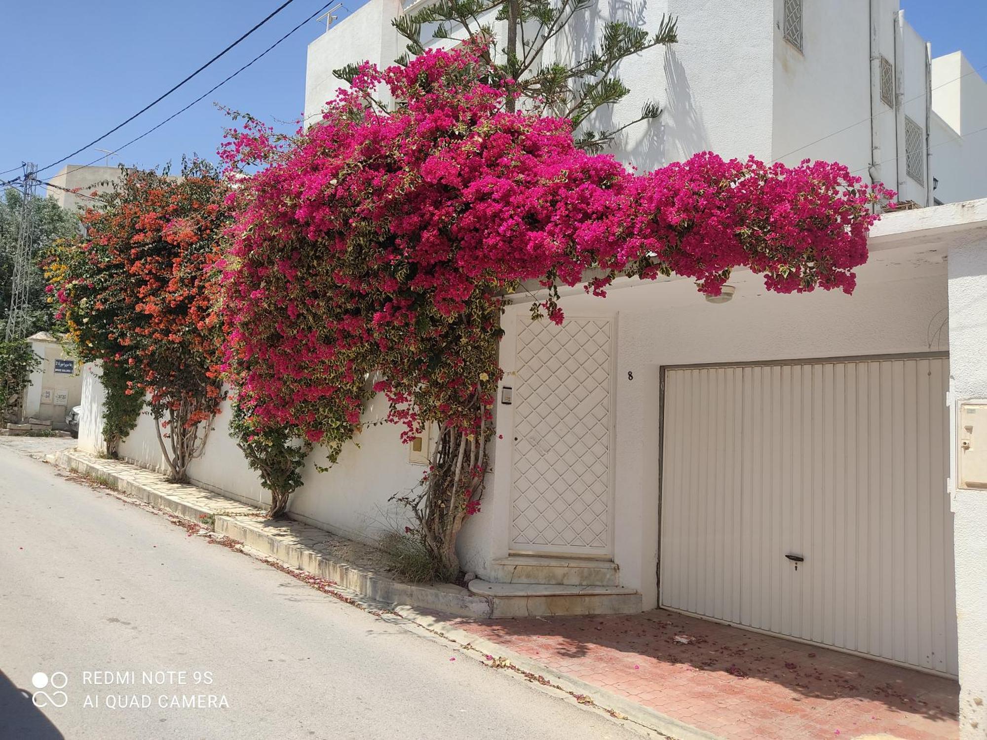 Etage De Villa Avec Jardin, Pres De L'Aireport Et Parking Prive อาริอานา ภายนอก รูปภาพ